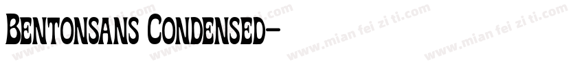 Bentonsans Condensed字体转换